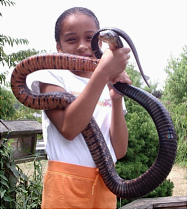 Adult Texas indigo