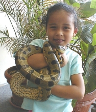 Wanna see my pet anaconda?
