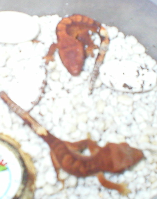 New babies 1