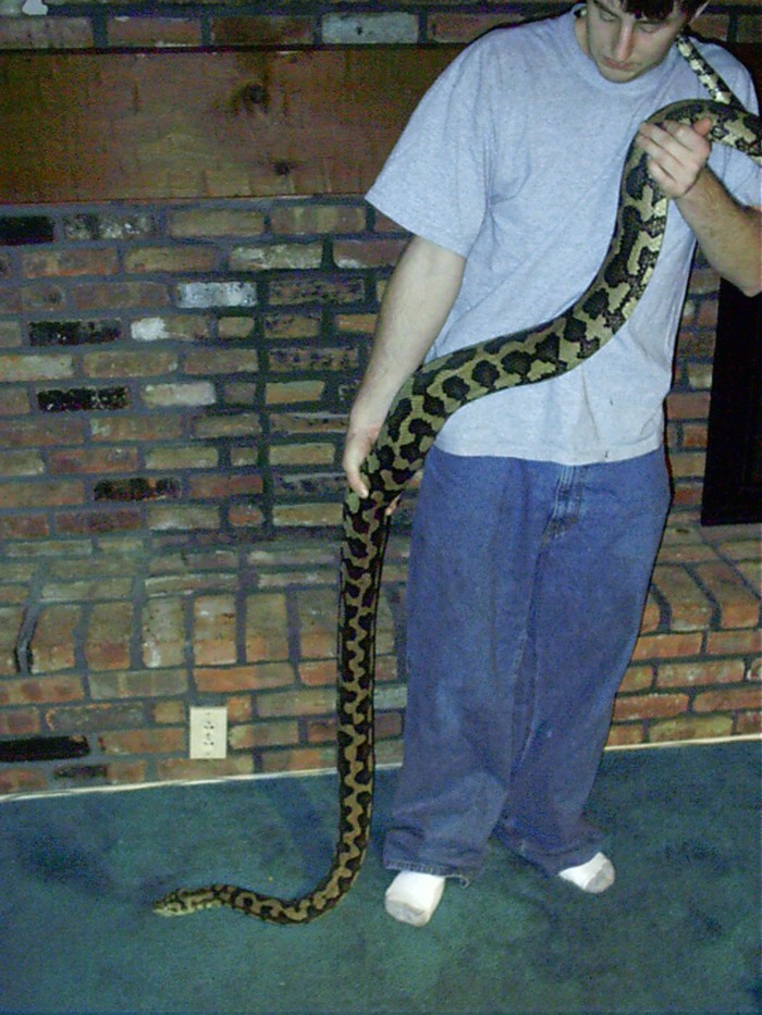 huge Jungle Carpet