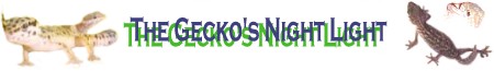 The GeckosNightLight Banner