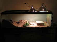 Uro Set Up