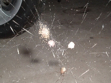 Female House Spider With Egg Sacks & Babies