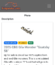 goatsby's gila ad new mobile
