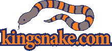 Kingsnake logo with mascot