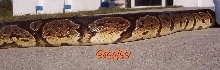 granite side shot