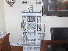 Cage for New Fiery Shoulder Conure