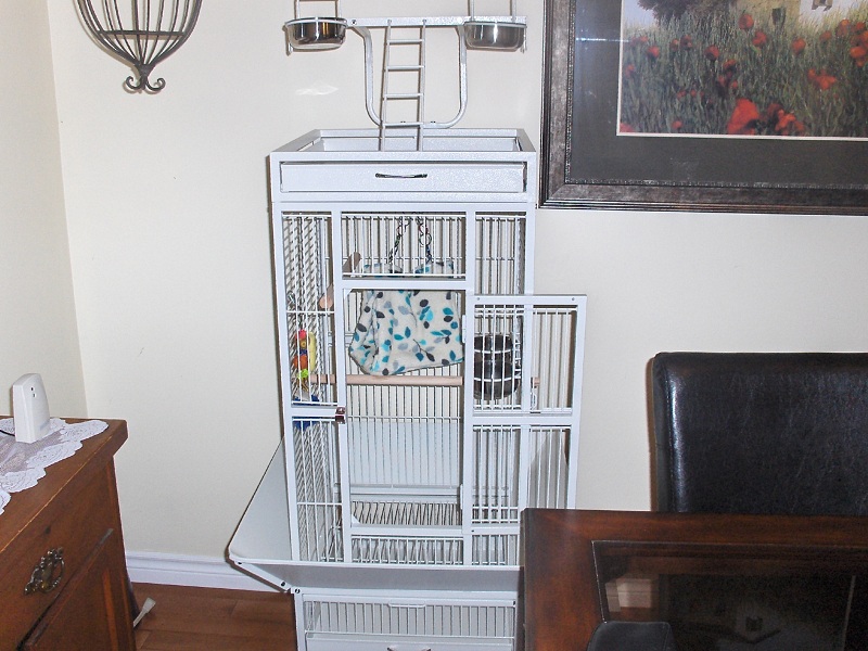 Cage for New Fiery Shoulder Conure