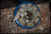 boa in bowl