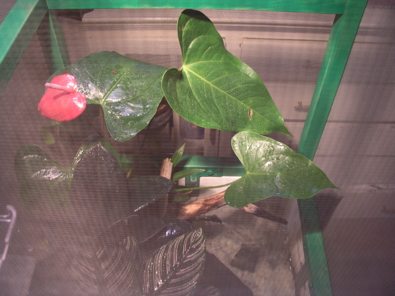 Enclosure