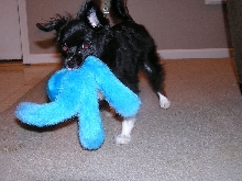 Toys are fun!