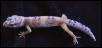 Cheeto