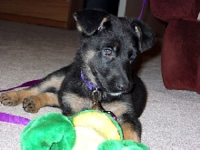 Maddy and frog