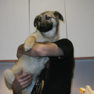Benjamin 5months old