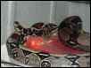 Breeding Suris