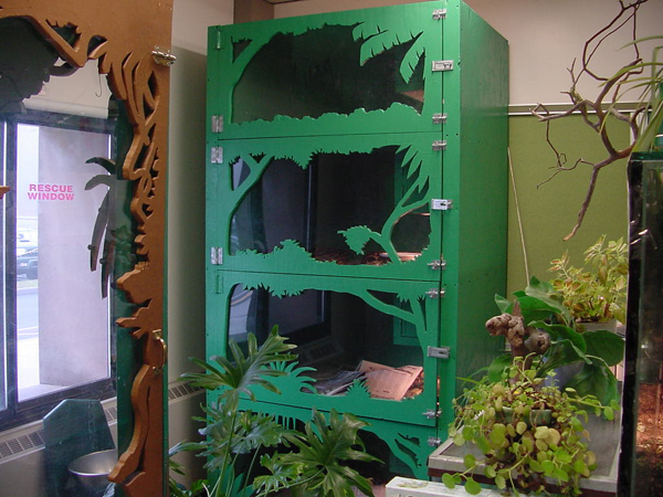 Boa Enclosure