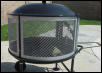 BBQ Iguana (chuckwalla)
