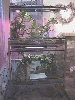 New Cage