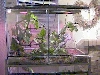 GTP Cage