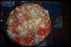 dogfood