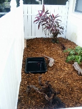 tegu enclosure