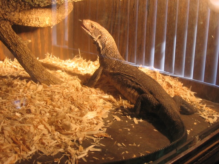 Raul Duke feeding