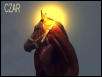 Czar