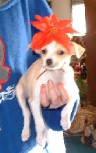 Brandee Christmas Day