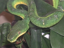 ETB