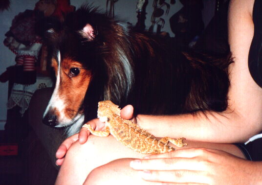 felix and his brother