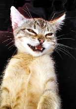 Cleo's smile