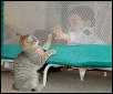 Zach & Cleo