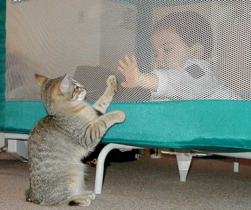 Zach & Cleo