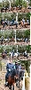 Dressage Clinic-Frank Grelo
