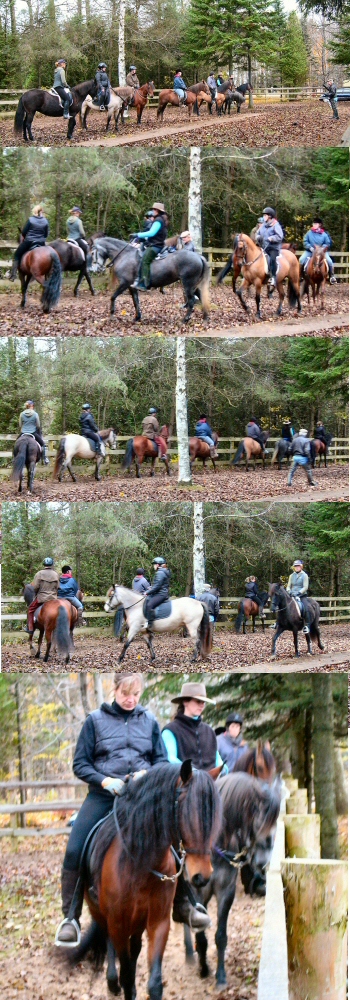 Dressage Clinic-Frank Grelo