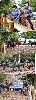 Paso Dressage Clinic 2