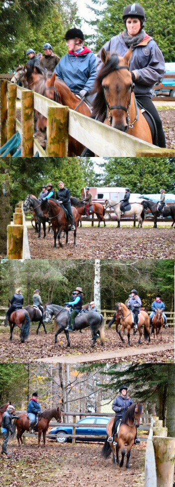 Paso Dressage Clinic 2
