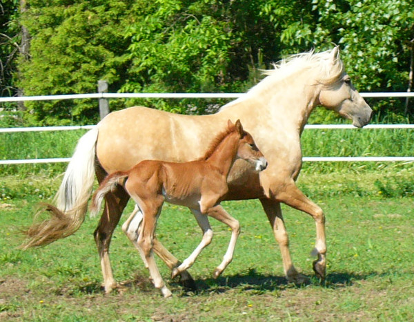 Finola and Mango