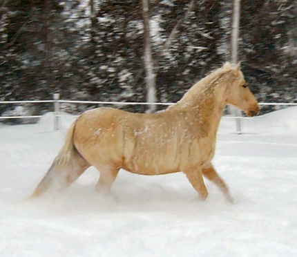 Finola-snow