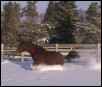 Mercy Snowplowing