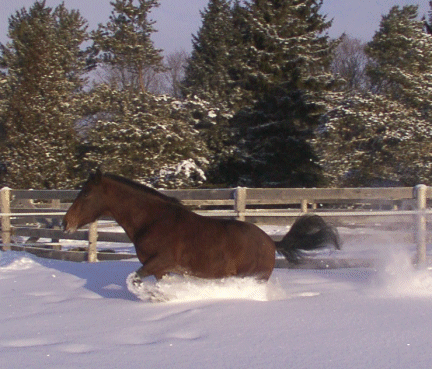 Mercy Snowplowing