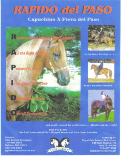 rapido del paso
