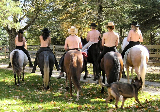 BareBack Pasos