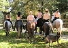 topless riders