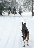 winter riding pasos -3