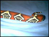 tail