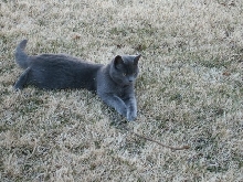 My little boy