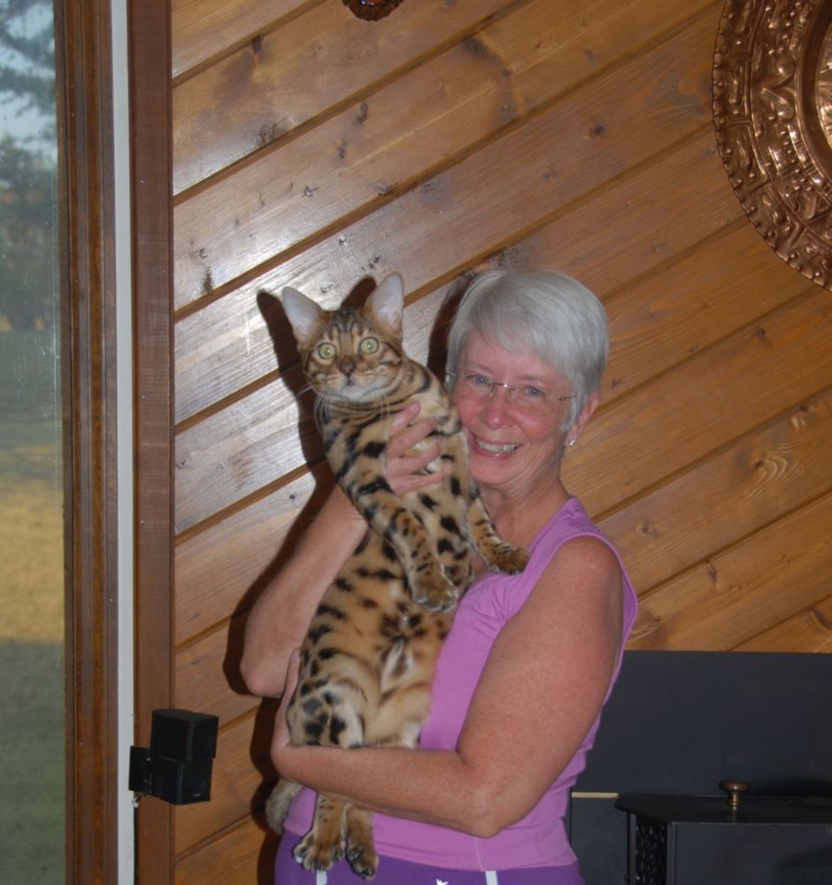 Loki at 8 months Sept 2010
