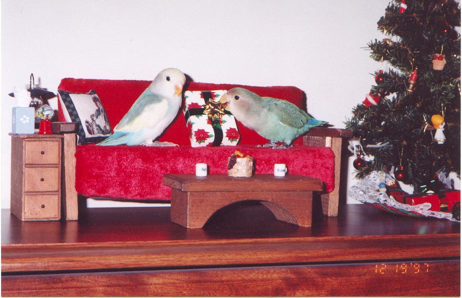 xmas lovebird style