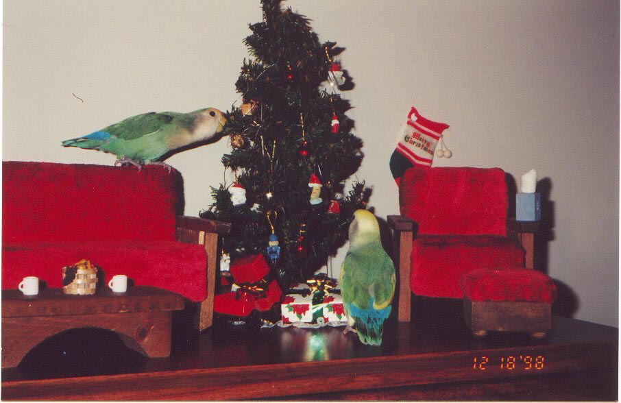 O Christmas Tree